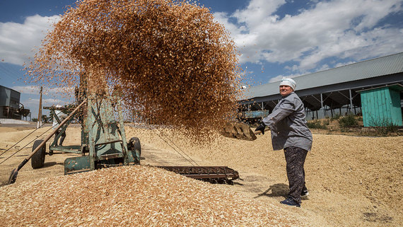 Производители зерна предлагают не вводить дисконт на экспортную пошлину на бирже