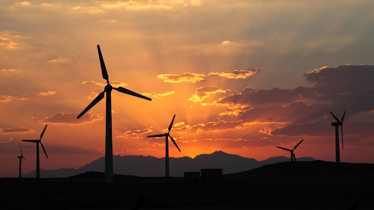 Солнечная и ветровая энергия становится все дешевле. 80% солнечных и более 75% ветровых мощностей, которые должны быть введены в эксплуатацию в 2020 г., будут генерировать электроэнергию более дешевую, чем угольные и газовые станции