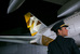 Etihad Airways (ОАЭ) Пассажиропоток (январь-сентябрь 2014 г.): 9,5 млн человек