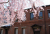 Япония
205. Киотский университет
Kyoto University
206. Токийский технологический институт
TokyoInstitute of Technology
207. Токийский университет
University of Tokyo
208. Университет Кюсю
Kyushu University
209. Университет Нагоя
Nagoya University
210. Университет Осаки
Osaka University
211. Университет Тохоку
Tohoku University
212. Университет Хоккайдо
Hokkaido University
213. Университет Цукуба
University of Tsukuba