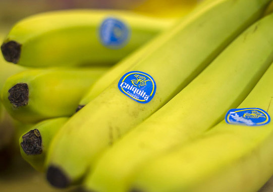 chiquita banana chiquita banana