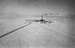 Добыча нефти на Аляске началась в самом конце XIX века, но объемы производства были относительно небольшими. Нефтяной бум начался в 1960-х гг, когда было обнаружено гигантское месторождение Прадхо-Бей (Prudhoe Bay). Его разработка началась в 1977 г. Несмотря на то что пик добычи на месторождении пришелся на 1988 г., оно до сих пор остается крупнейшим в США по объему суммарной добычи.