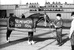 Орловский рысак гнедой масти Квадрат, родившийся в 1946 году, - чемпион Всесоюзной сельскохозяйственной выставки 1954 года