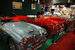 Austin-Healey 3000.
