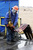 Месторождение Barnett Shale