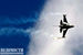 Истребитель ВВС США Lockheed Martin F16