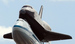 Последний полет Enterprise