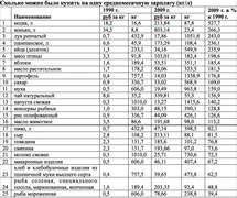 Сколько можно было купить на одну среднемесячную зарплату (кг/л) по данным Росстат и ФБК
