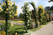 Розовый сад Parco Rose