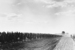 Немецкие войска захватили в октябре 1941 г. на западном направлении около 668 000 человек. Участь большинства пленных была печальной