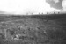 Атаки Красной армии весной 1942 г. не имели существенного успеха