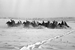 Зимой 1943 года конница активно участвовала в наступлении на южном крыле советско-германского фронта