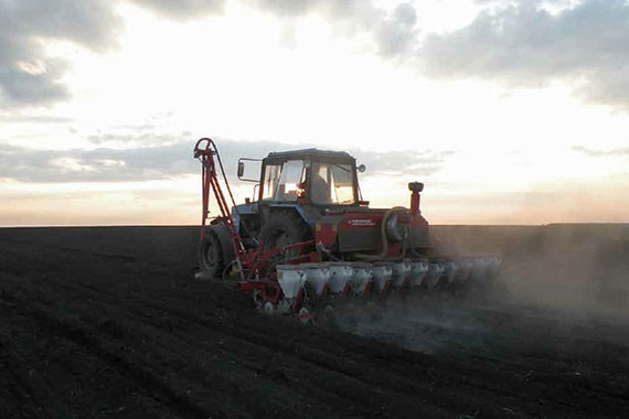 Шведская Volga Farming продала свои сельхозактивы в России