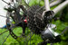 11-скоростная кассета с электронным переключателем Dura Ace