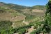 Виноградники Quinta de Vargellas, исторического поместья Taylor’s, владельцы компании скупали по частям в 1893 - 1896 гг.