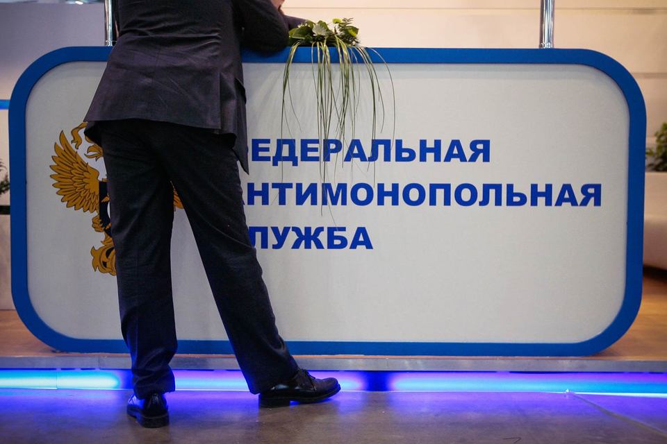 Согласно поправкам определять правила сможет правительство