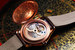 Механизм часов Frederique Constant Manufacture Zodiac