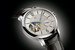 Лучшие часы 2015 г., обладатели Grand Prix d’Horlogerie de Geneve - модель Greubel Forsey Tournillon 24 Secondes Vision