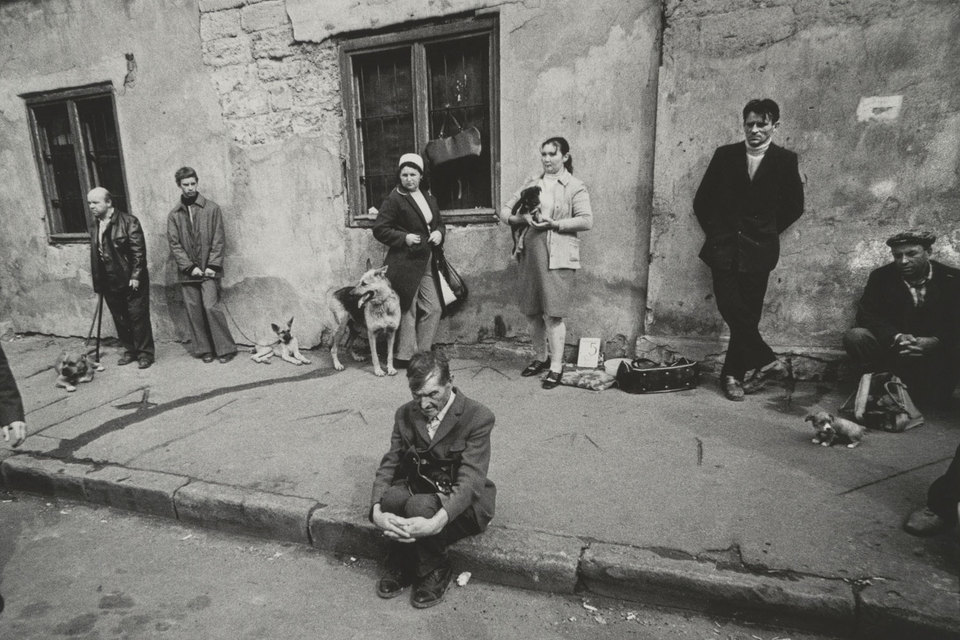 Андрей Баскаков. Из серии «Птичий рынок». Одесса, 1976 г.