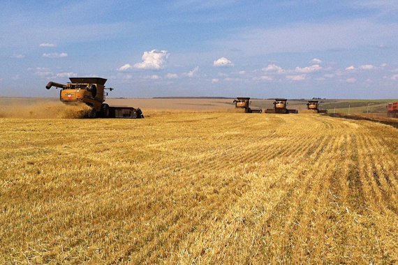 Агрохолдинг Trigon Agri уходит из России после семи лет работы здесь