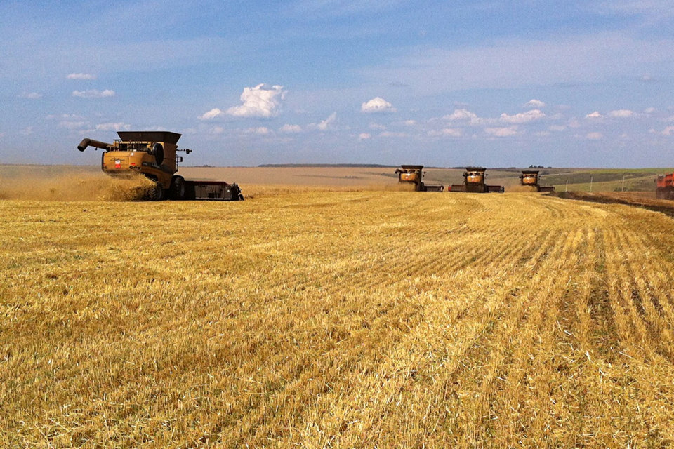 Агрохолдинг Trigon Agri уходит из России после семи лет работы здесь