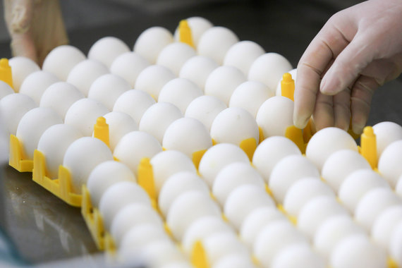 По данным агентства Agrifood Strategies, птицефабрика «Синявинская» с 4%-ной долей рынка – крупнейший производитель яйца в России
