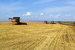 Финский агропромышленный холдинг Trigon Agri продает активы в Ростовской области, чтобы использовать вырученные средства для сокращения долга и концентрации усилий на более прибыльном производстве на Украине. При этом девальвация рубля и гривны заметно ухудшила финансовое положение компании. Уход из России ее топ-менеджер объяснила тем, что «там невозможно работать»