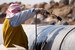 Сирийская компания HESCO Engineering & Construction, созданная Джорджем Хасвани и его братьями Муниром и Майклом Хасвани, работала подрядчиком у «Стройтрансгаза» и «Тажпромэкспорта» на их проектах по строительству нефте- и газпроводов в арабских странах