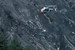 24 марта самолет A320 германского лоу-костера Germanwings, совершавший рейс из Барселоны в Дюссельдорф, разбился во французских Альпах. Второй пилот Андреас Лубиц во время полета заблокировался в кабине и умышленно направил самолет в гору, пользуясь отсутствием в кабине командира воздушного судна. На борту самолета находились 144 пассажира и шесть членов экипажа. Все они погибли