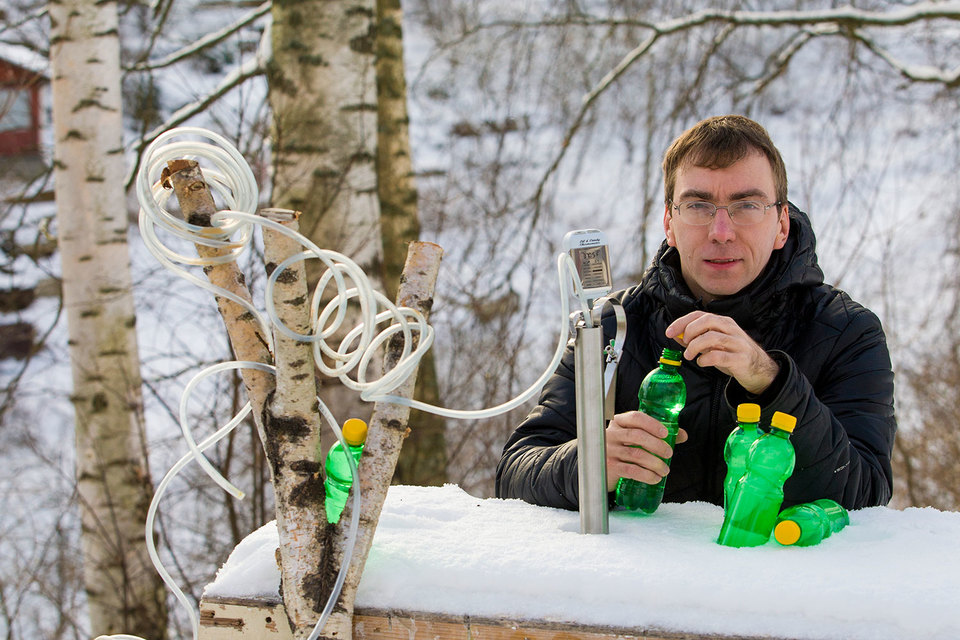 Алексей Грибин сконструировал для сбора древесного сока фирменный сокопровод – из медицинских трубочек и капельницы