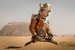 «Марсианин» (The Martian) Ридли Скотта – семь номинаций, увы, без режиссерской. «Золотые глобусы» за лучший фильм в категории «Комедия или мюзикл» и лучшую мужскую роль в той же категории (Мэтт Деймон). Хороший пример того, что называть «Золотой глобус» репетицией «Оскара» – полная глупость. Даже у Деймона против Ди Каприо шансов практически нет – на «Глобусе» они были в разных категориях, тут в одной. При том, что смотреть, как Деймон на Марсе выращивает картошку, конечно, гораздо интереснее, чем на то, как помятый медведицей Ди Каприо выживает в снегах.