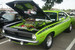 Plymouth Cuda (1,6%) - спортивная версия модели Plymouth Barracuda, выпущенная подразделением Chrysler в 1974 г. - в «золотой век» Детройта. Эта модель выпускалась как с цельной, так и с откидной крышей. Цены на Cuda номинируются, как правило, в шестизначных цифрах, знают в Hagerty. Но некоторые экземпляры ушли с молотка за несколько миллионов долларов