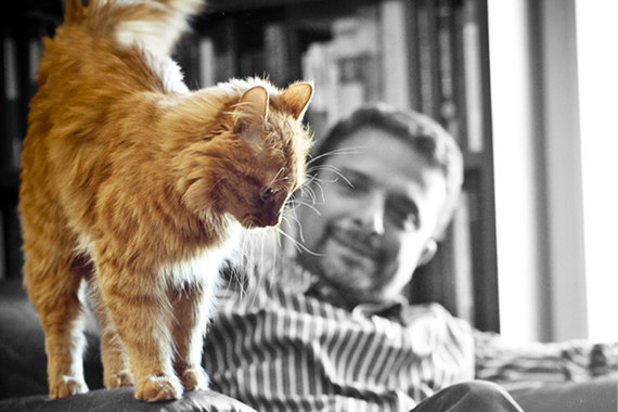 Литератор Александр Архангельский написал, как это ему и свойственно, книгу имени самого себя – не вмещающуюся ни в один из известных форматов