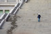 Генподрядчик строительства стадиона с 2008 г. – компания «Инжтрансстрой-СПб», власти Санкт-Петербурга расторгли с ней контракт в середине июля 2016 г. После этого генподрядчиком строительства стадиона была выбрана компания «Метрострой»