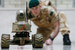 Английский военный робот Testudo