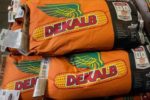 Monsanto — американский производитель гербицидов и генно-модифицированных семян кукурузы, сои, хлопка