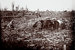 100 лет назад в 1916 г. началось наступление Антанты в Северной Франции, известное как "битва на Сомме" — одно из самых кровавых сражений в истории. Число погибших оценивается в 1,25 млн человек