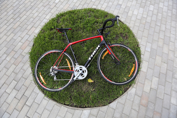 Trek Domane 4.0 Compact
