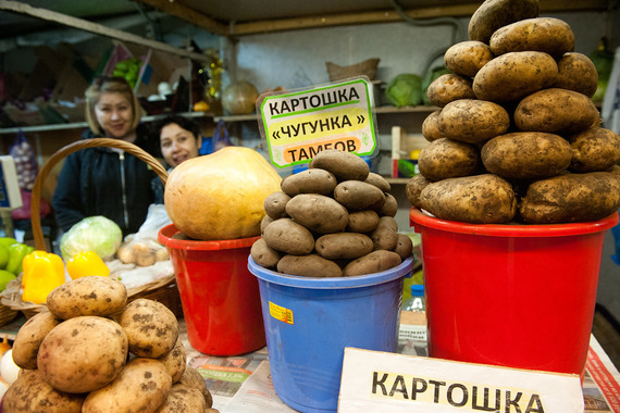 Картофель может подорожать к зиме