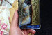 24 августа 2016 г.Появилась информация о первом случае возгорания Galaxy Note 7. Китайский пользователь выложил на форум Baidu Tieba фотографии обугленного смартфона, сгоревшего во время зарядки. Судя по некоторым представленным изображениям, телефон заряжался от неоригинального устройства
