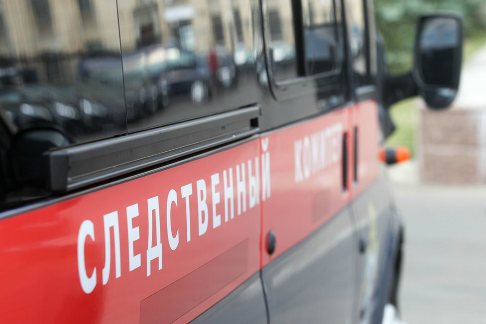 Следственный комитет возбудил уголовное дело в отношении мэра города Переславль-Залесский Дениса Кошурникова, а также учредителя и генерального директора ООО «НТфарма» Рустама Атауллаханова и Евгения Султанова