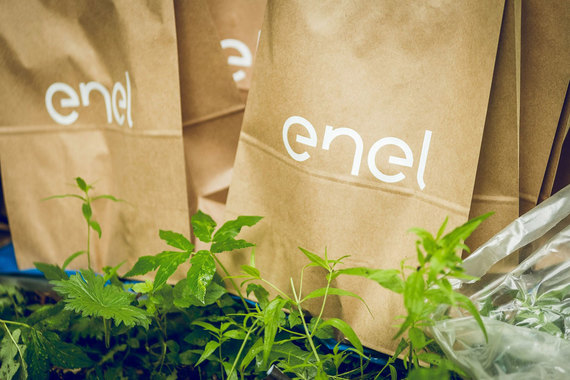В понедельник Enel Group сообщила, что согласно обновленной стратегии направит по результатам 2016 г. на дивиденды 55% чистой прибыли, 2017 г. – 65%