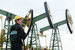 В апреле 2004 г. российские нефтегазовые компании добыли 36,89 млн т нефти, а в декабре 2015 г. — на четверть больше: 45,78 млн т