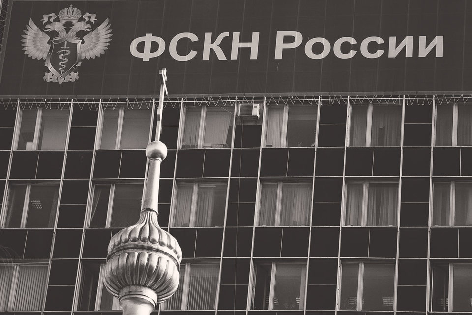 Согласно заявлениям руководителя ведомства ФСКН специализируется на выявлении крупных, оптовых партий наркотиков