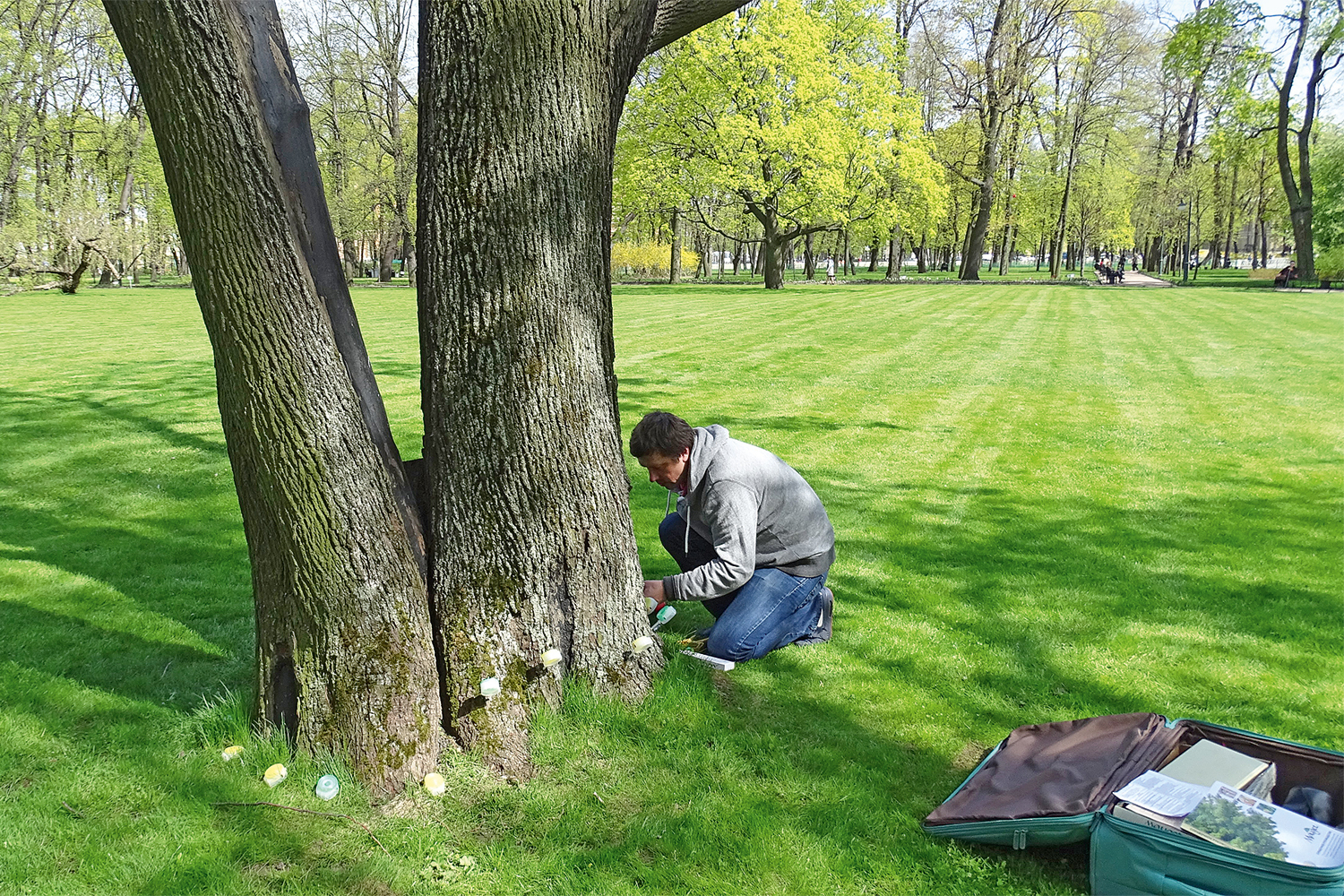 «Доктор» у клена в Михайловском саду