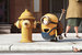 Мультфильм «Миньоны» от студий Illumination Entertainment и Universal – рекордсмен по сборам за 2015 г. Стартовав в прокате России и СНГ в июле, он собрал максимальную кассу за год — 1,9 млрд руб.