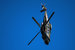 Ударный вертолёт Eurocopter Tiger HAD