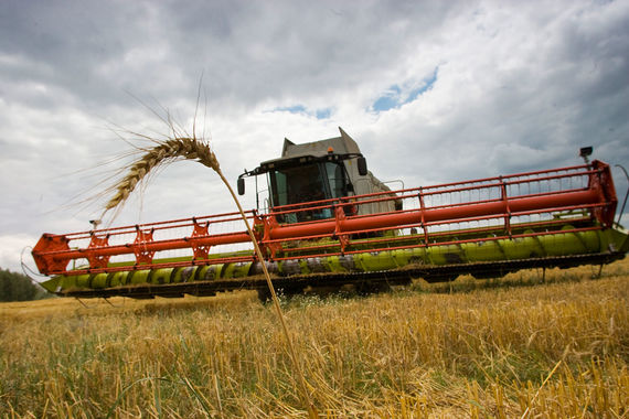 normal 3um Россия побила рекорд по экспорту зерна прошлого сезона