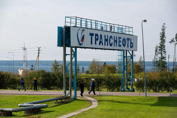 Новые инвесторы заинтересованы в том, чтобы войти в «Транснефть»