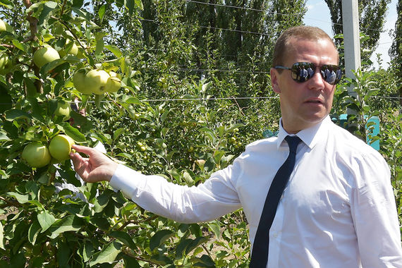 ФБК в недавнем расследовании называл Андрея Медведева двоюродным братом премьер-министра Дмитрия Медведева (на фото)